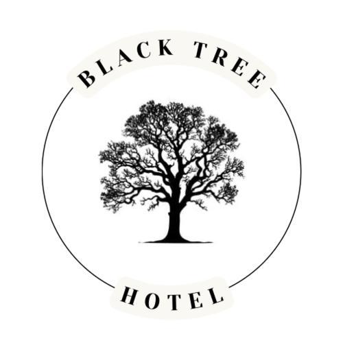 The Black Tree Hotel Colonial Mazatlán Zewnętrze zdjęcie